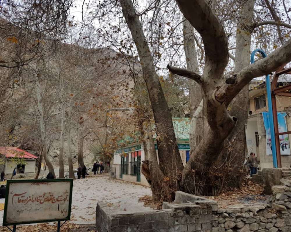 نمایی از محوطه امامزاده قاسم در کوهستان و درختان زمستانی
