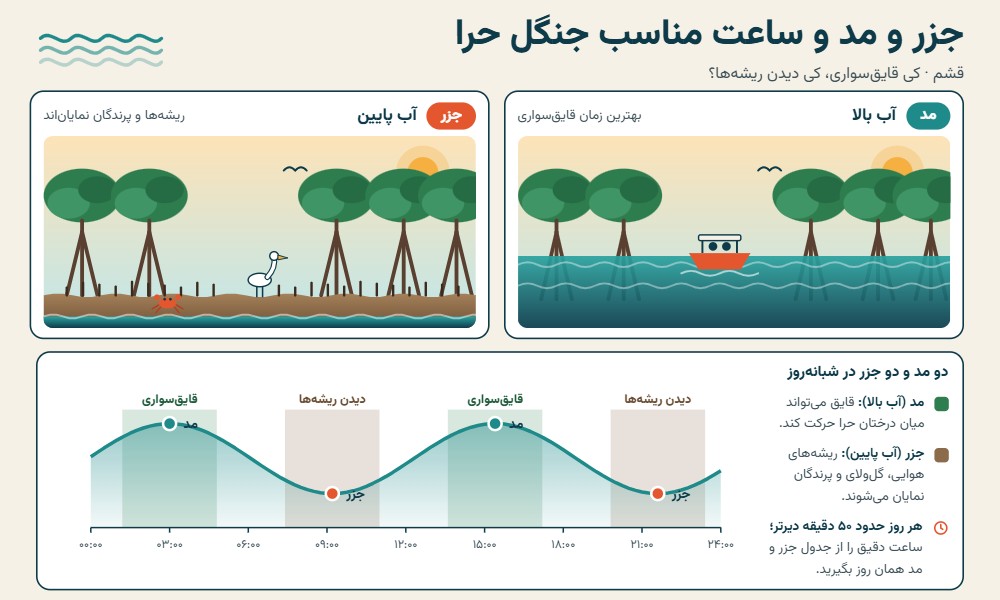 اینفوگرافیک جزر و مد جنگل حرا