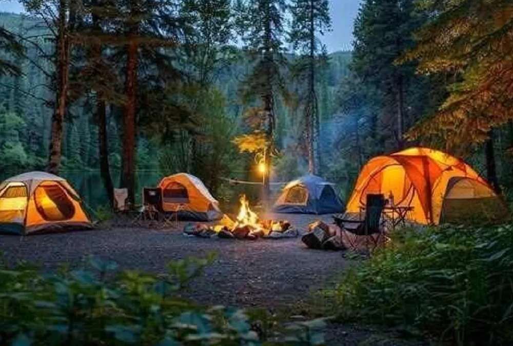 کمپینگ شبانه در یکی از جنگلهای ماسال در شب