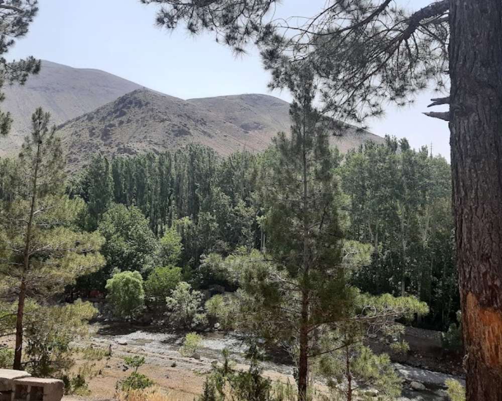 نمایی از فضای سبز اطراف رودخانه کردان