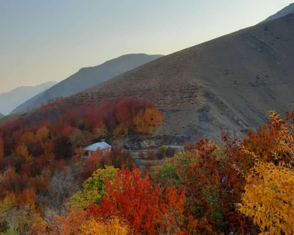 نمایی از درختان پاییزی رنگارنگ در کوه‌های روستای سنگان