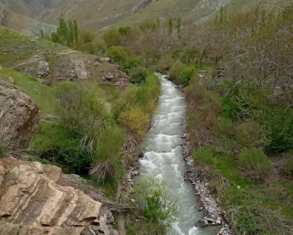 نمایی از طبیعت اطراف رودخانه کردان با سرسبزی زیاد