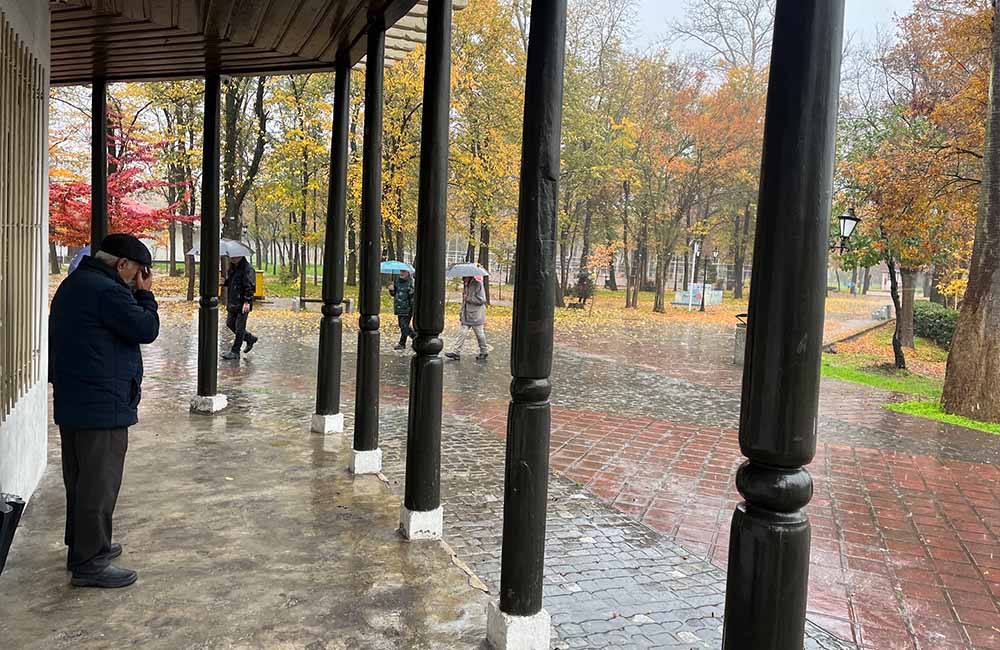 ستونهای چوبی عمارت کلاه فرنگی در پاییز