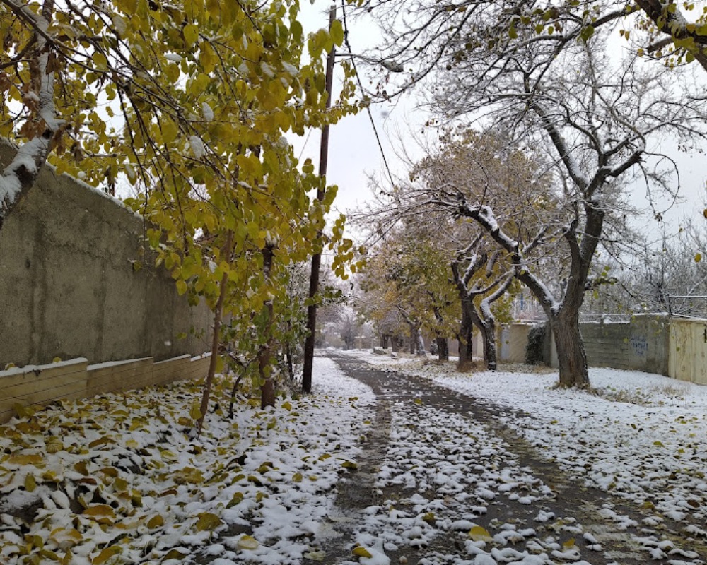 ec10018f-c4ed-4690-8599-63597d3662a0-a-street-in-kordan-with-yellow-leaved-trees-covered-in-snow.jpg