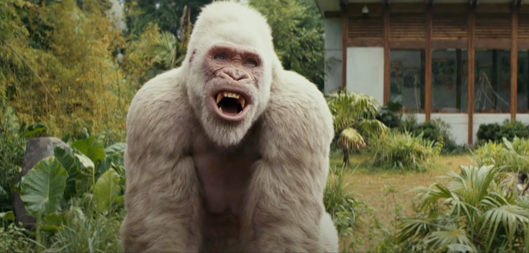 ۹: فیلم Angry Birds (۲۰۱۶)