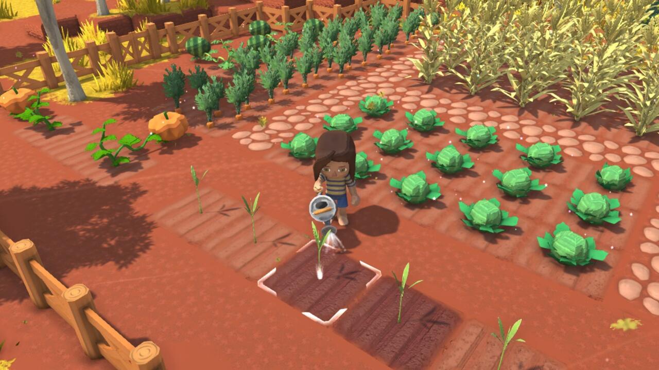 استاردو ولی