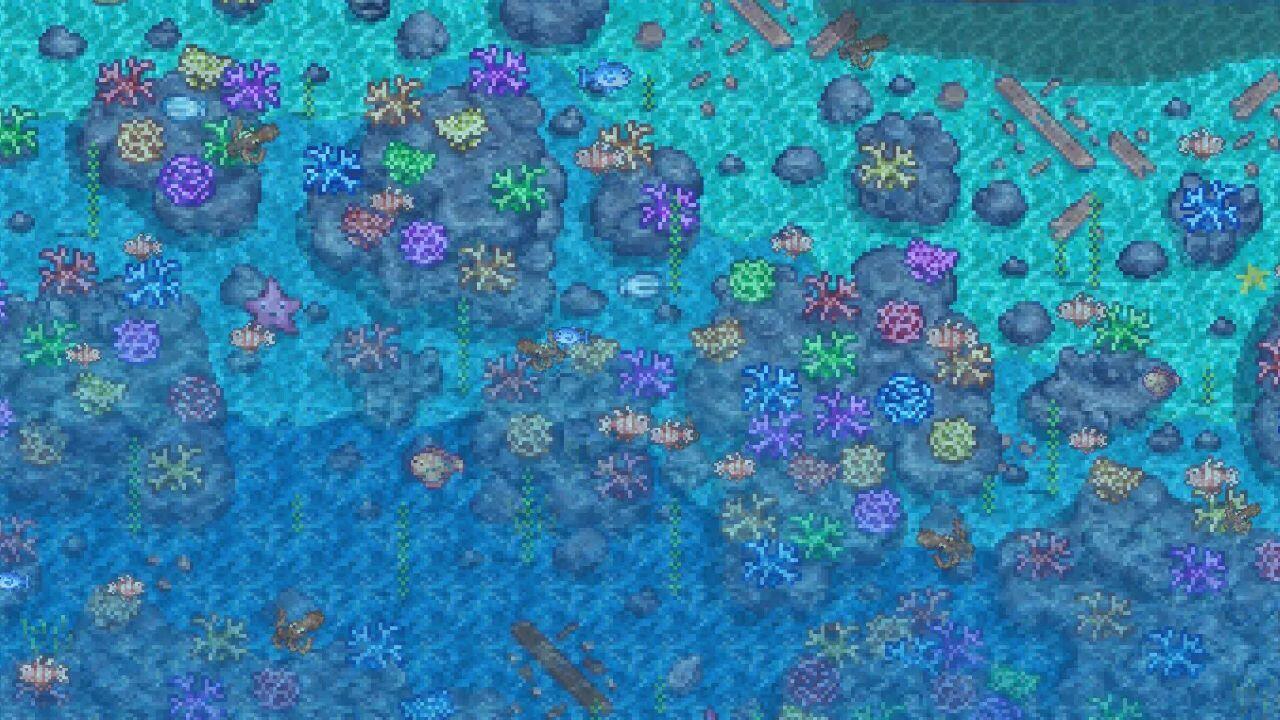 بخشی از جامعه