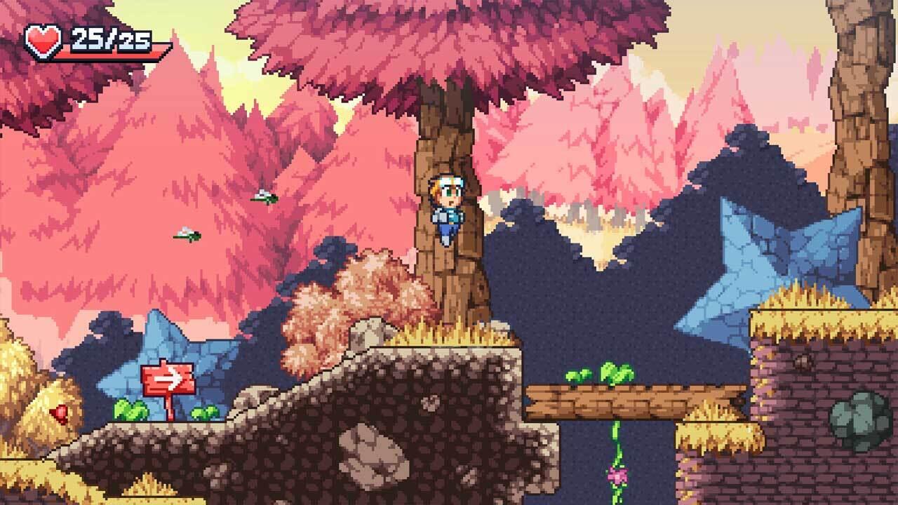 بازگشت به سپیده‌دم