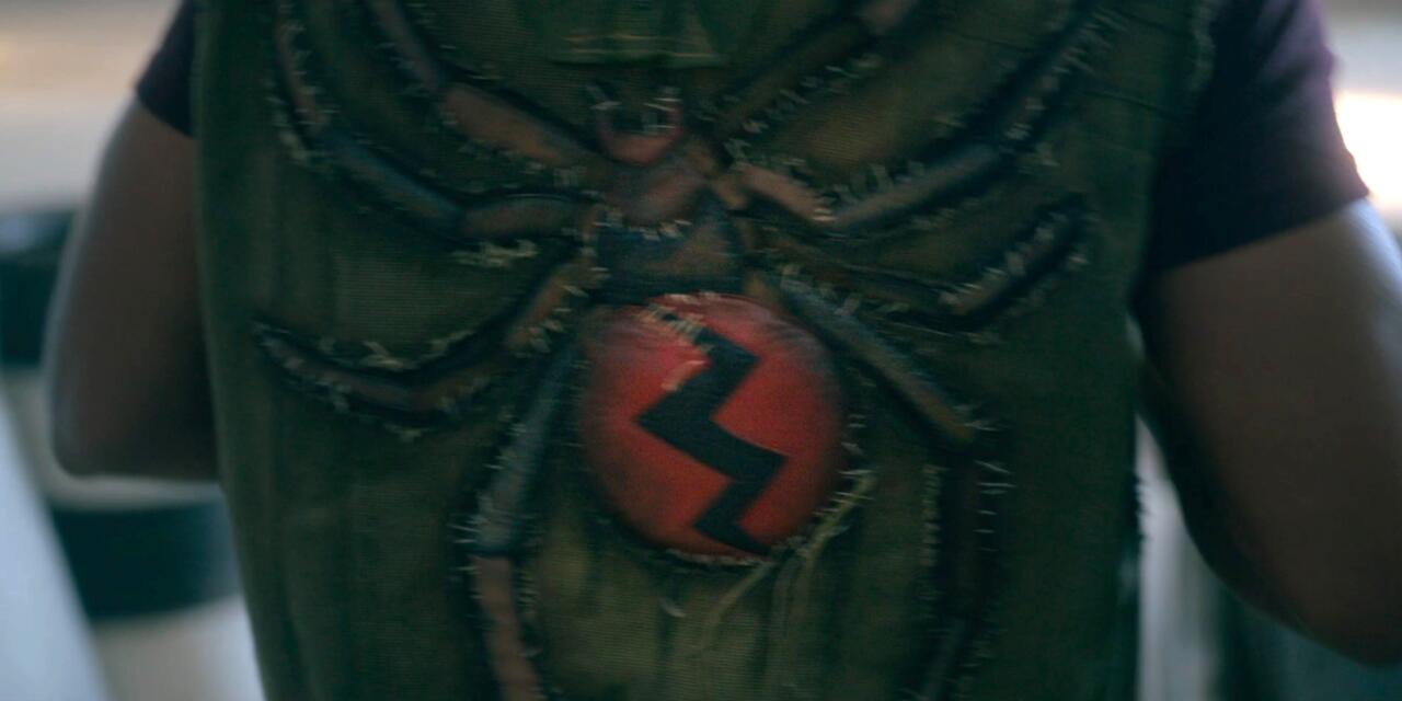 19. عنکبوت بزرگ