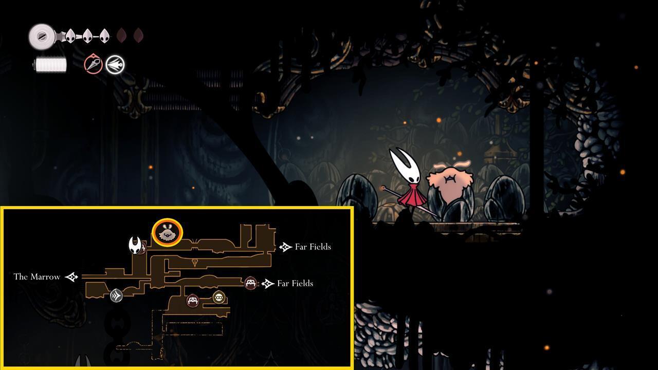 کک گمشده #4: میدان‌های دور