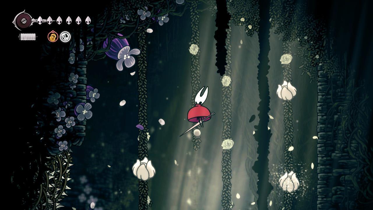 مکان قلب پولیپ شماره ۵