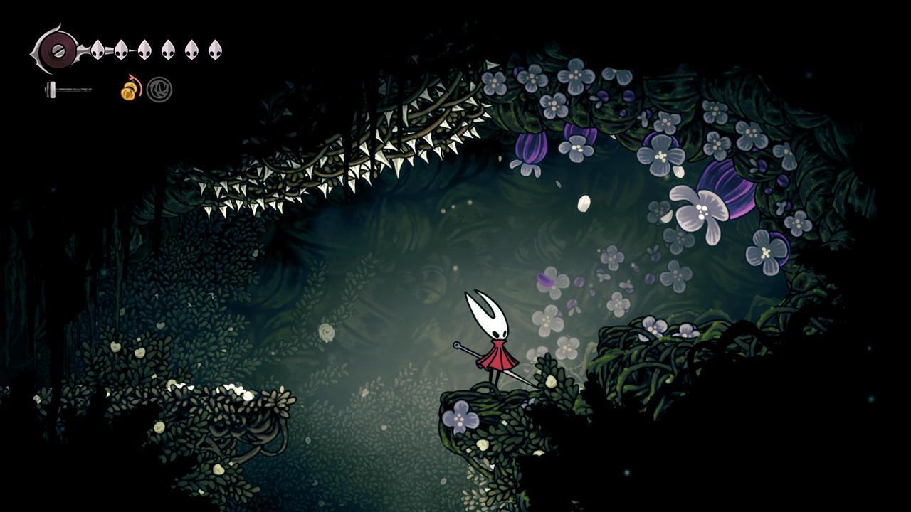 مکان قلب پولیپ شماره ۶