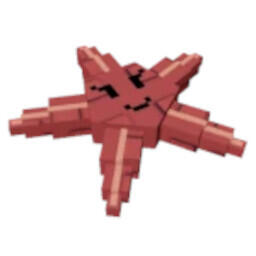 ستاره دریایی