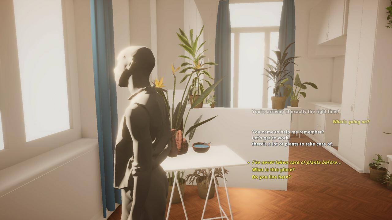 رویای چای جاده آلو