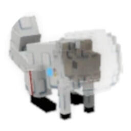 سنجاب فضایی