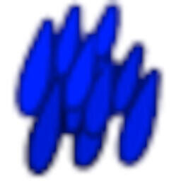 باران استوایی