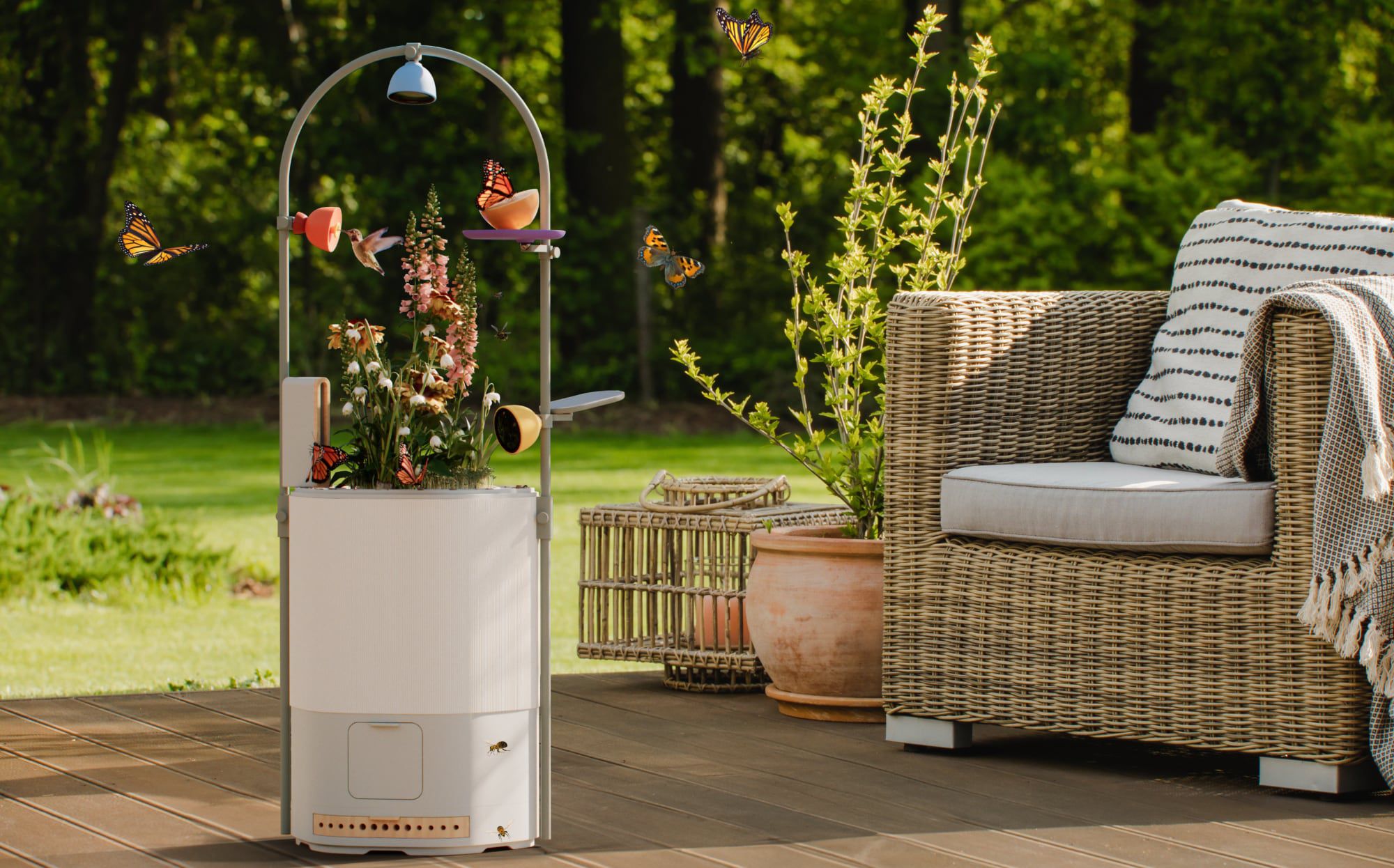 Bird Buddy محصولات جدید ‘Wonder Blocks’ و ‘Petal’ را برای نزدیک شدن به گردهافشانها معرفی کرد