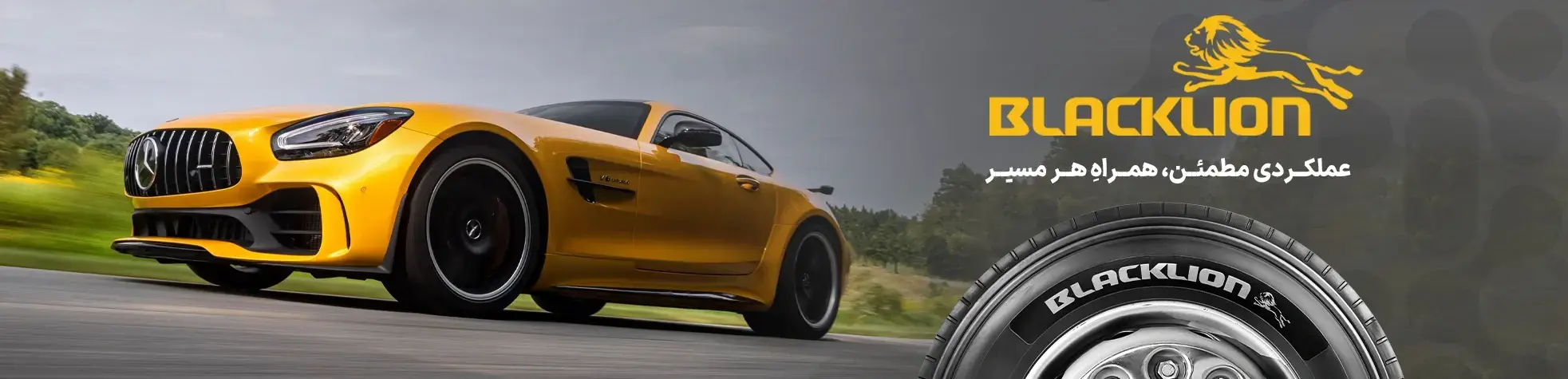 لاستیک بلک لاین logo