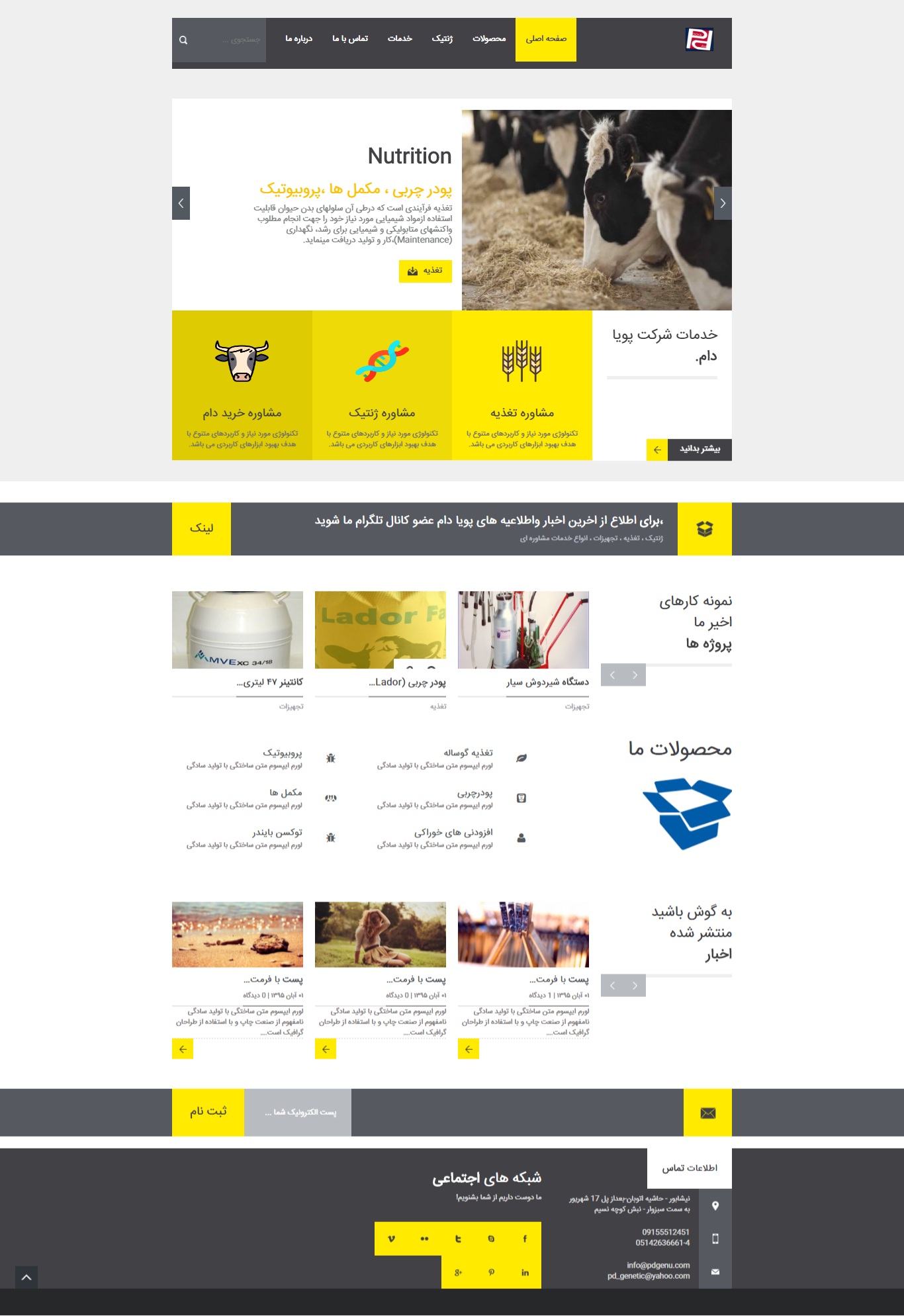 portfolio-preview