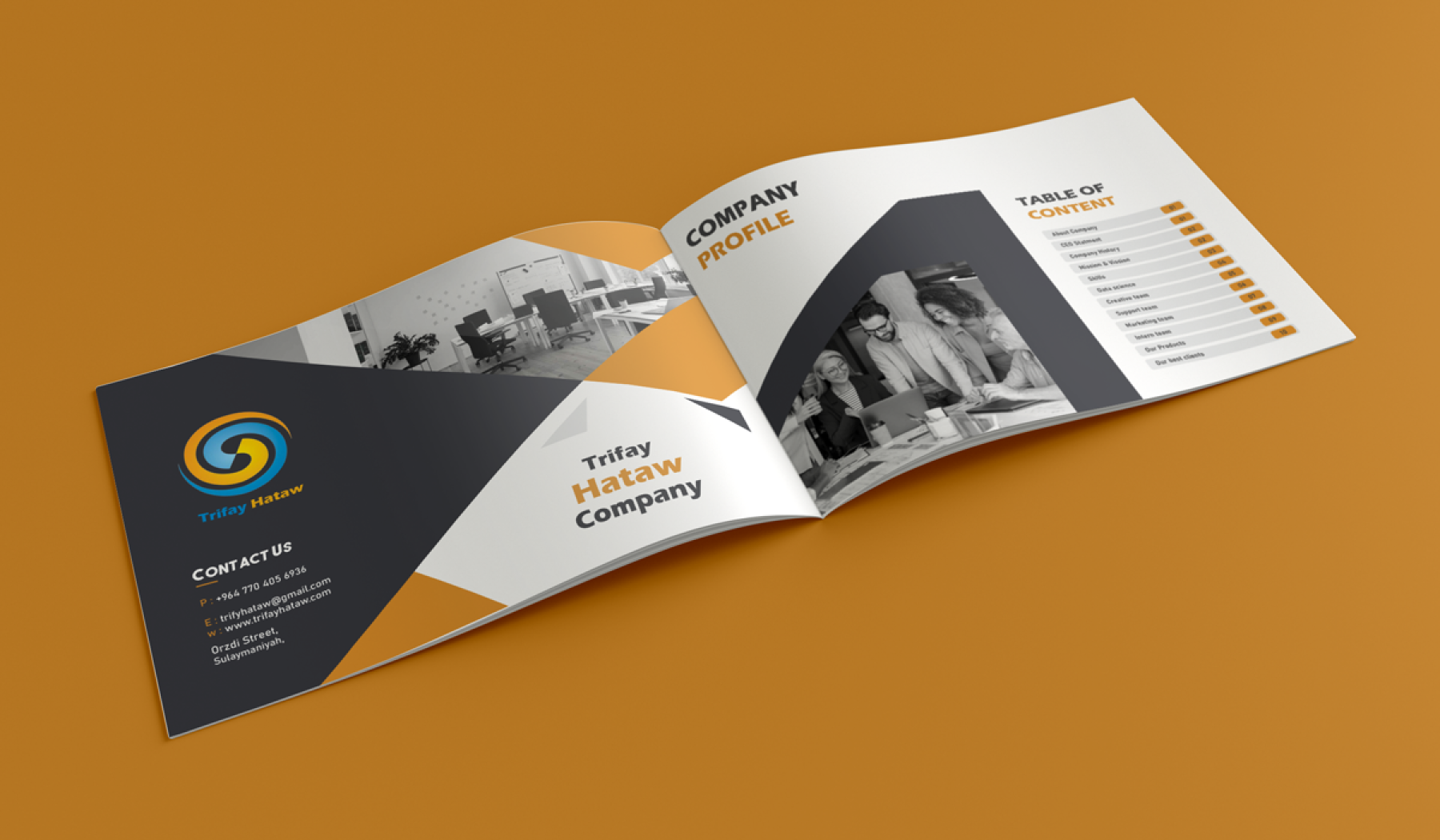 portfolio-preview