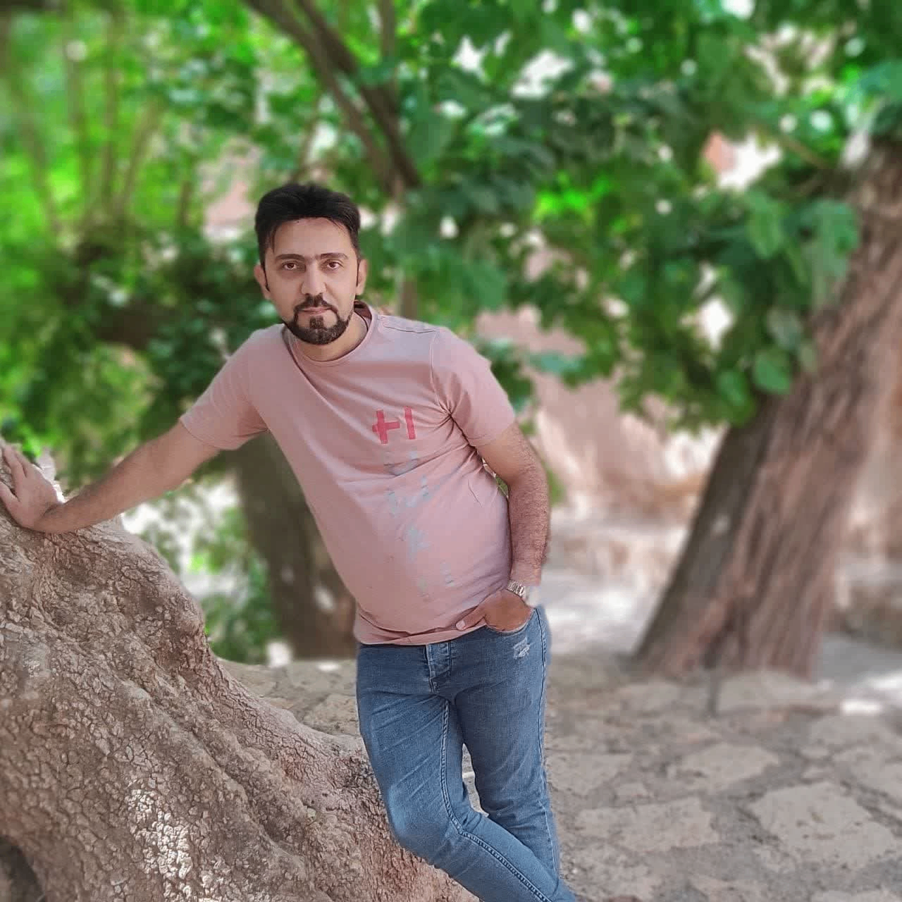 alimeisf