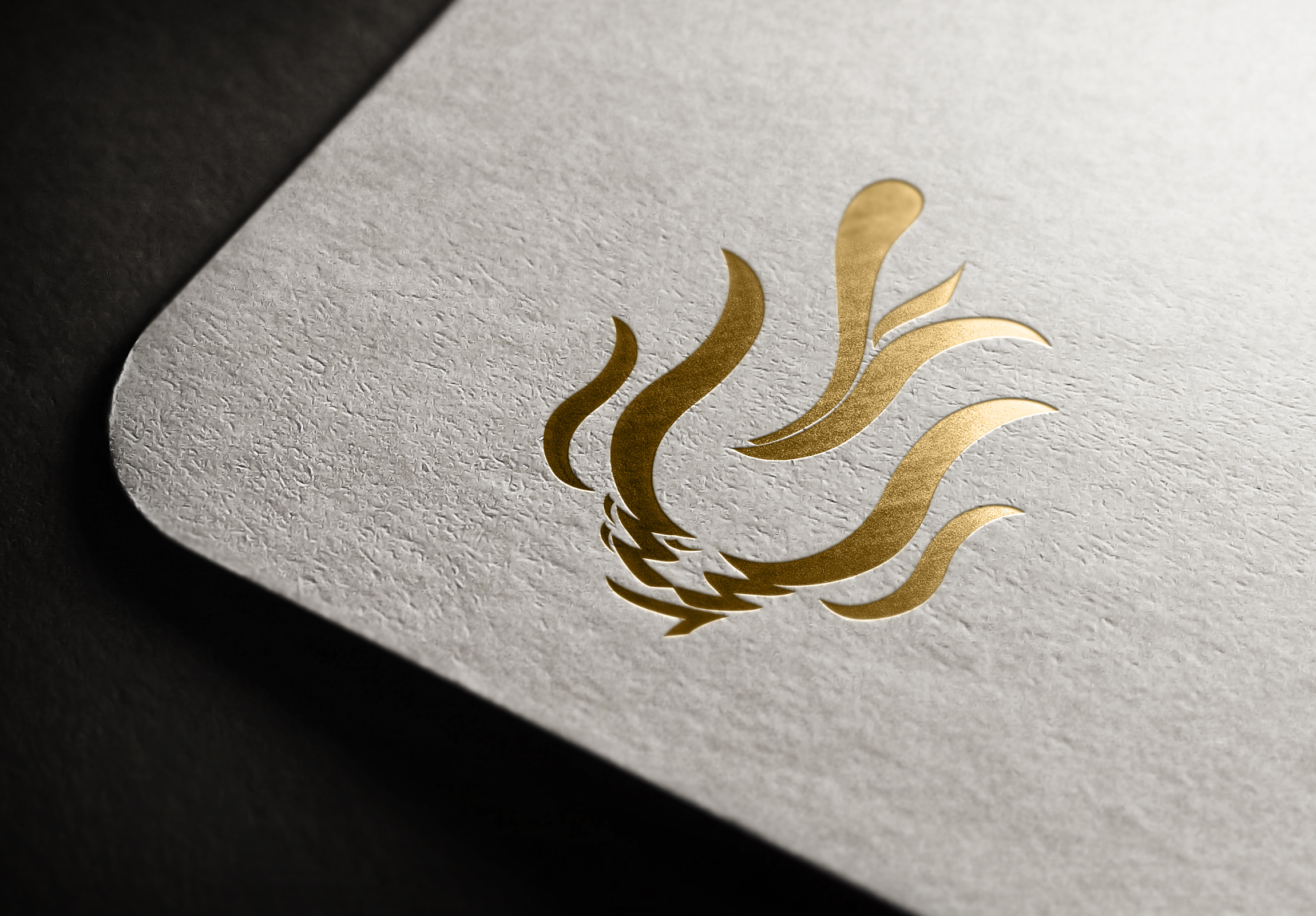 portfolio-preview