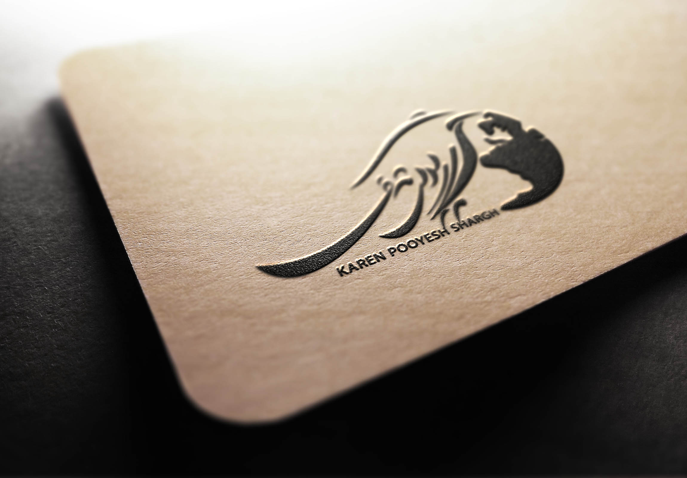 portfolio-preview