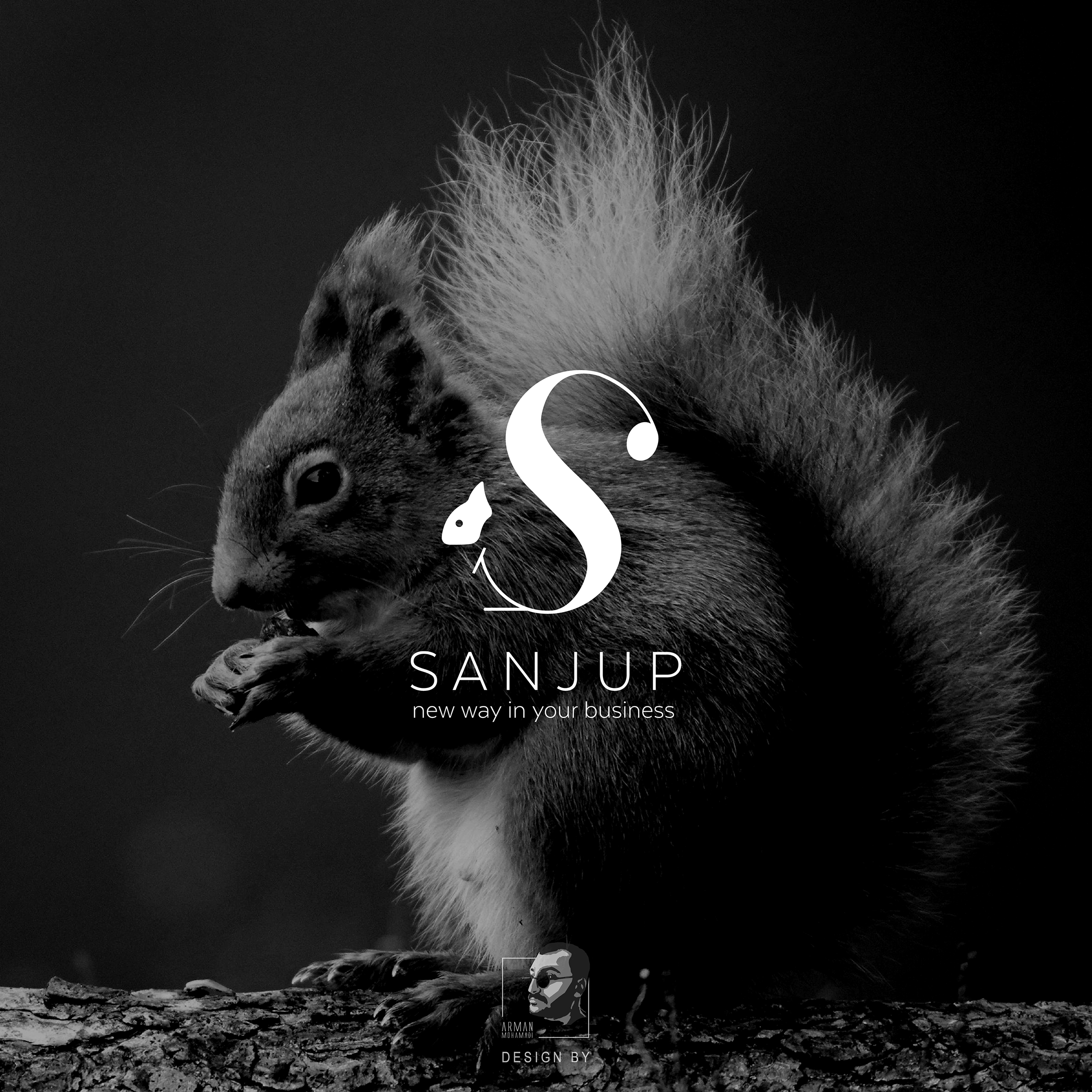 portfolio-preview