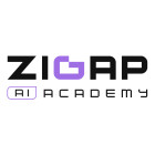 zigapacademy