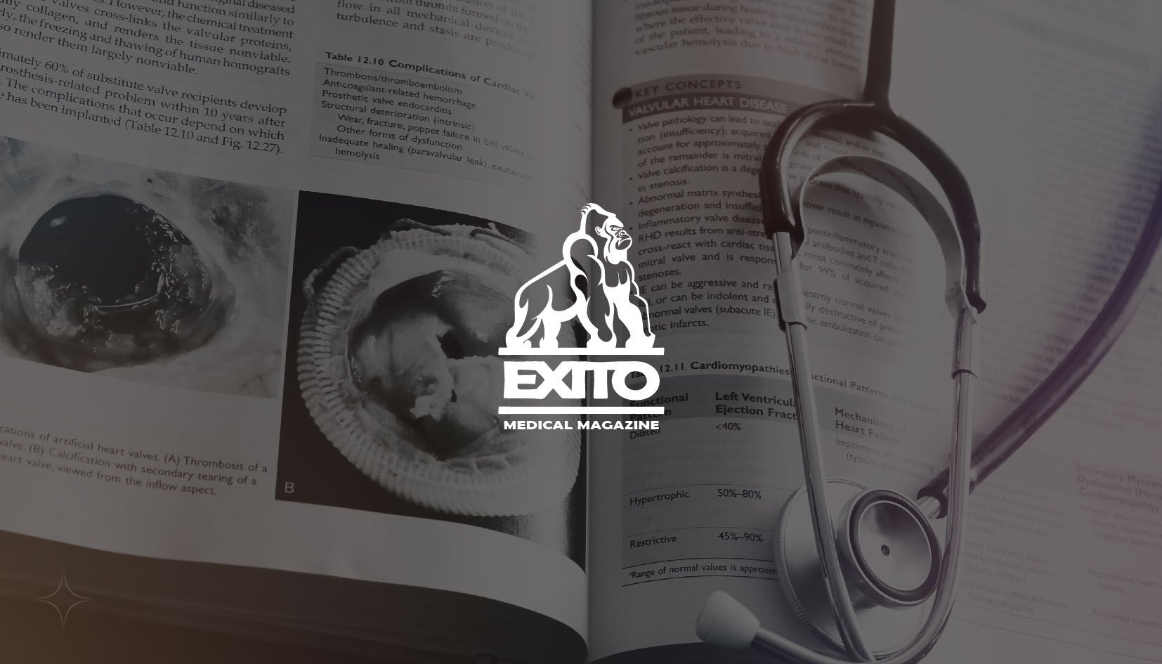 portfolio-preview