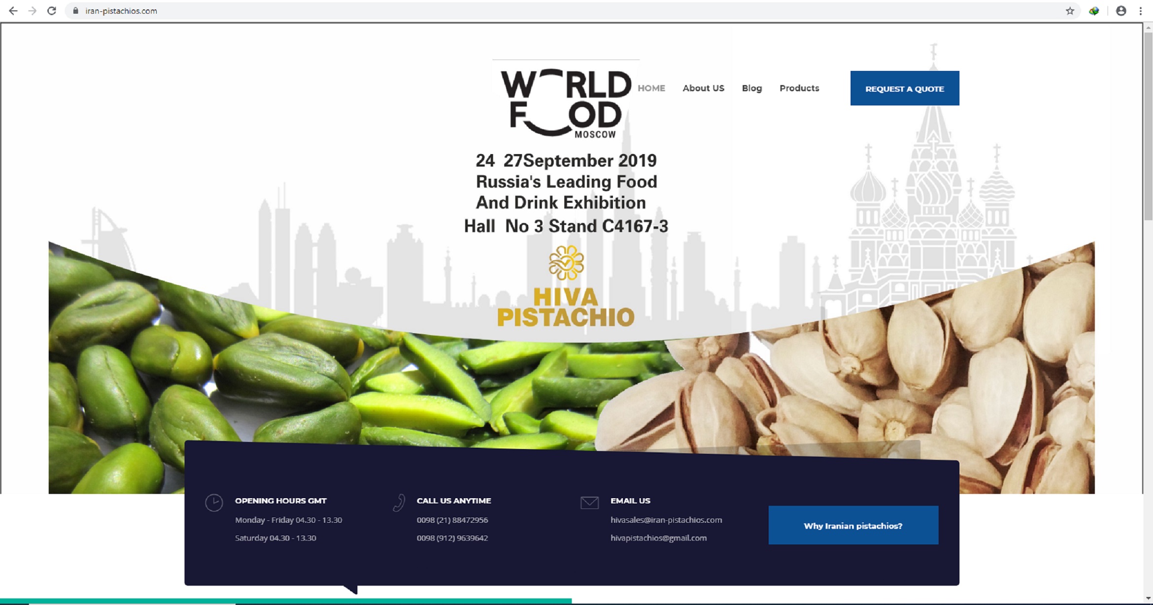 portfolio-preview