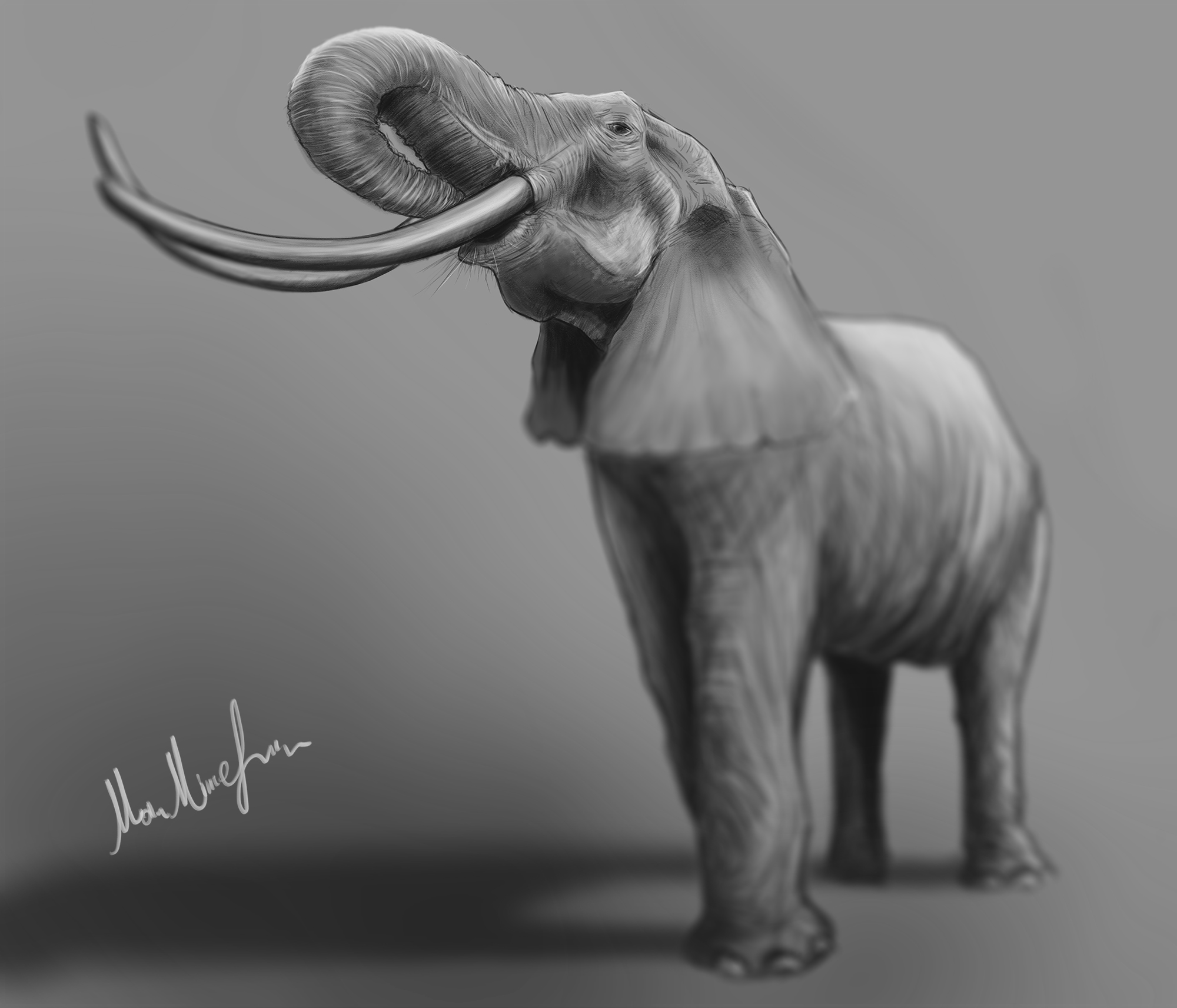 portfolio-preview