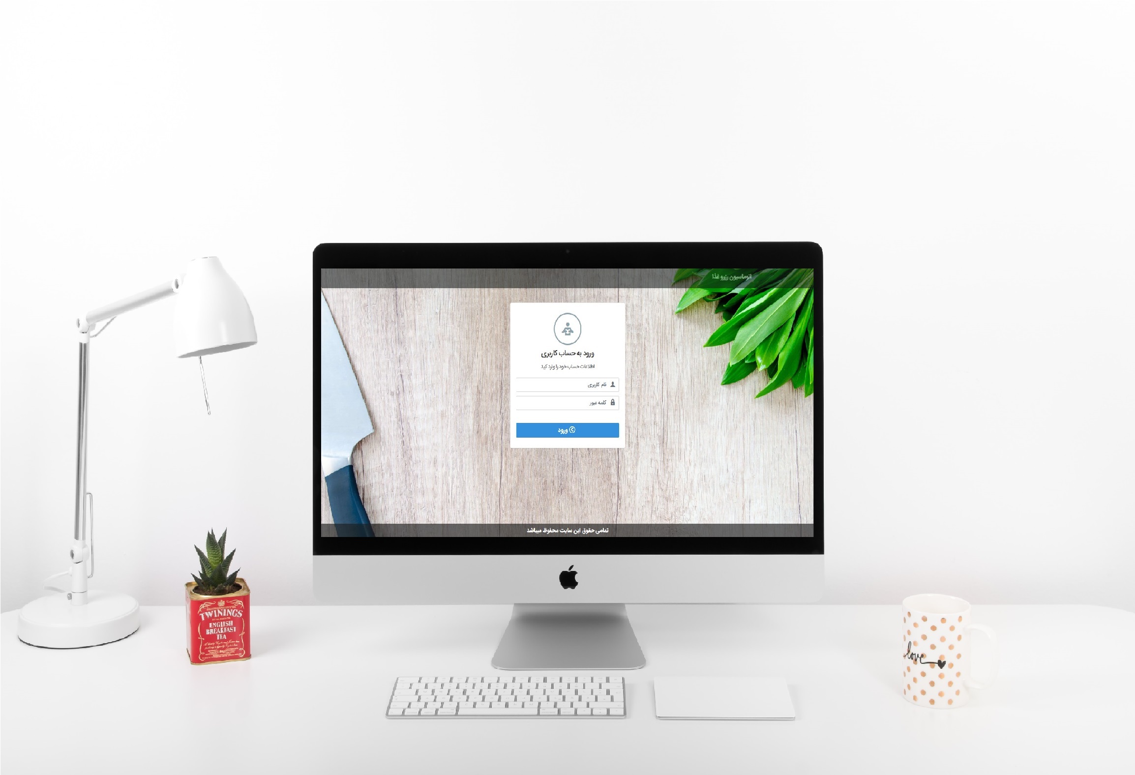 portfolio-preview