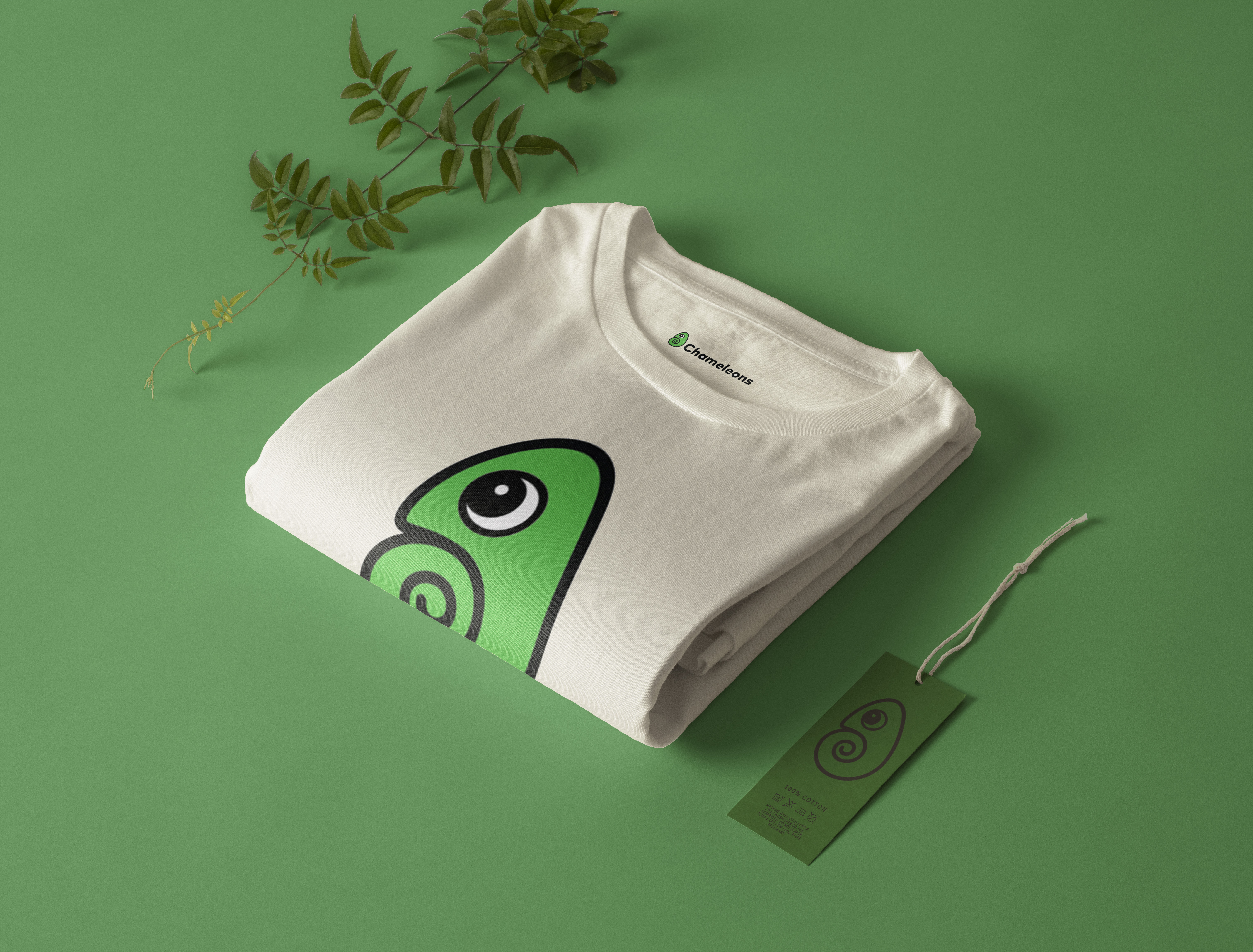 portfolio-preview