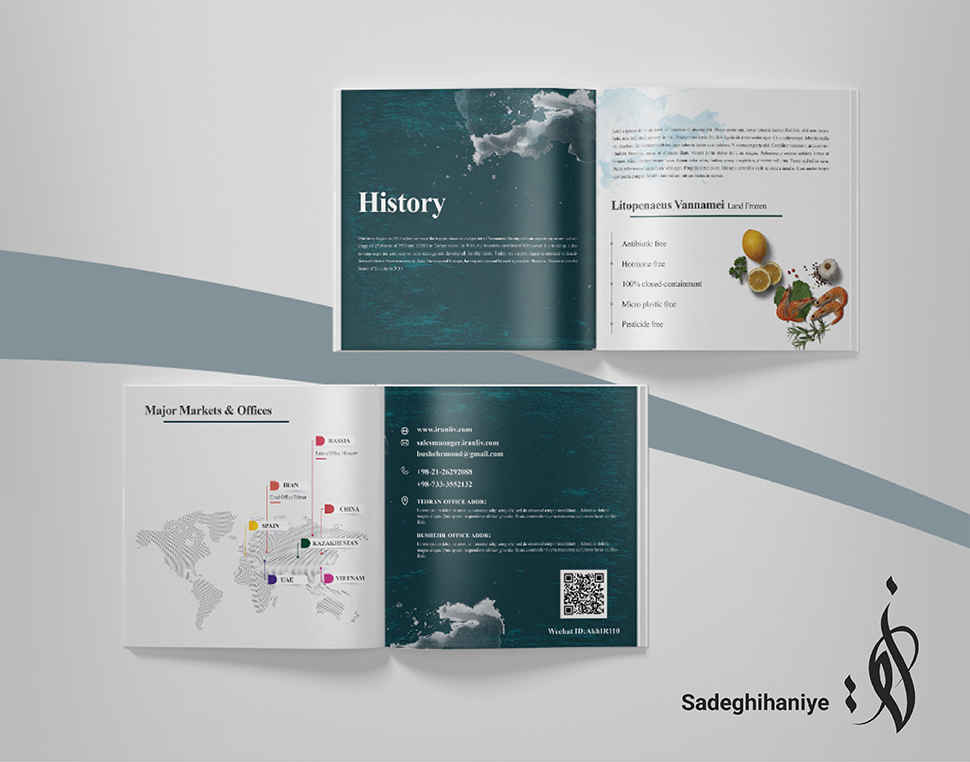 portfolio-preview