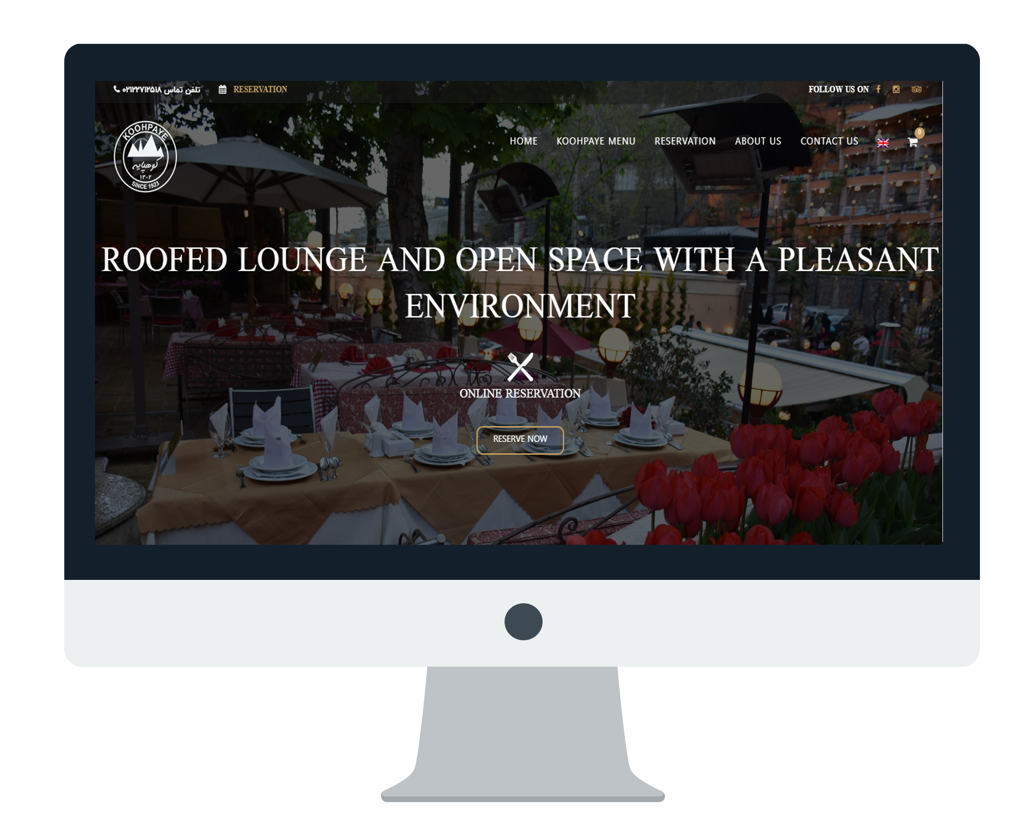 portfolio-preview