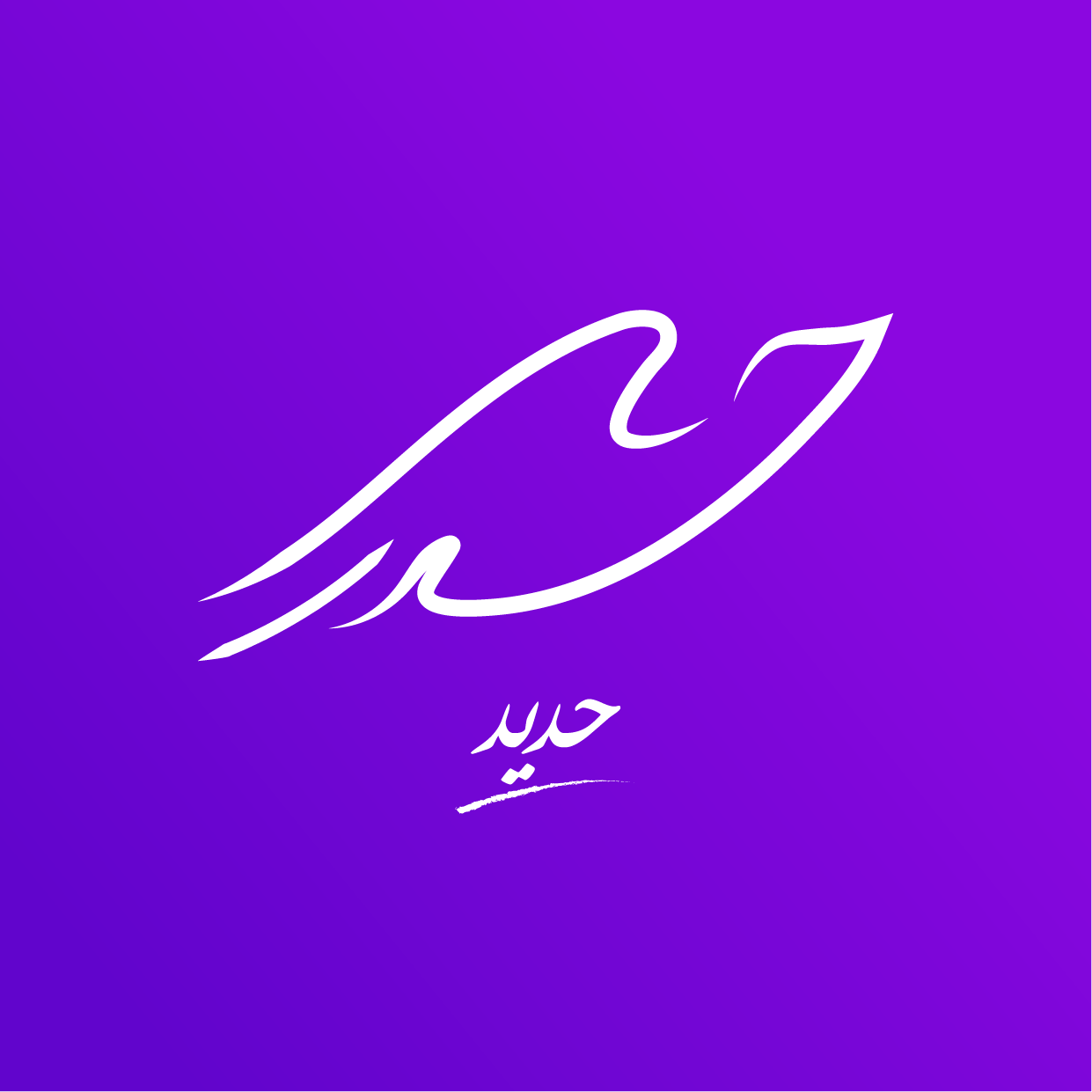 portfolio-preview