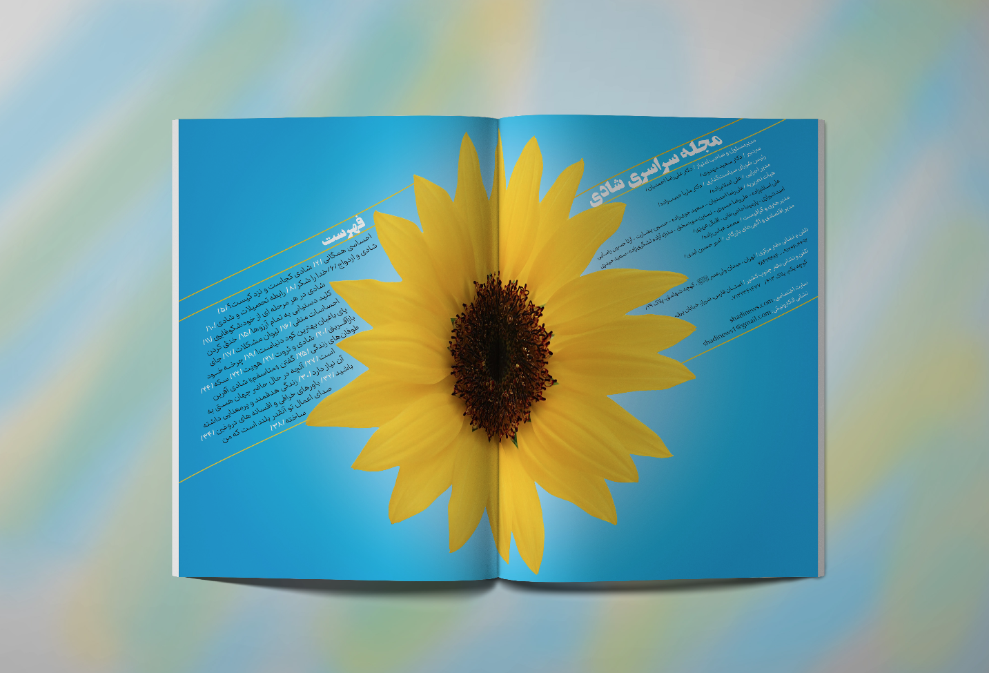 portfolio-preview
