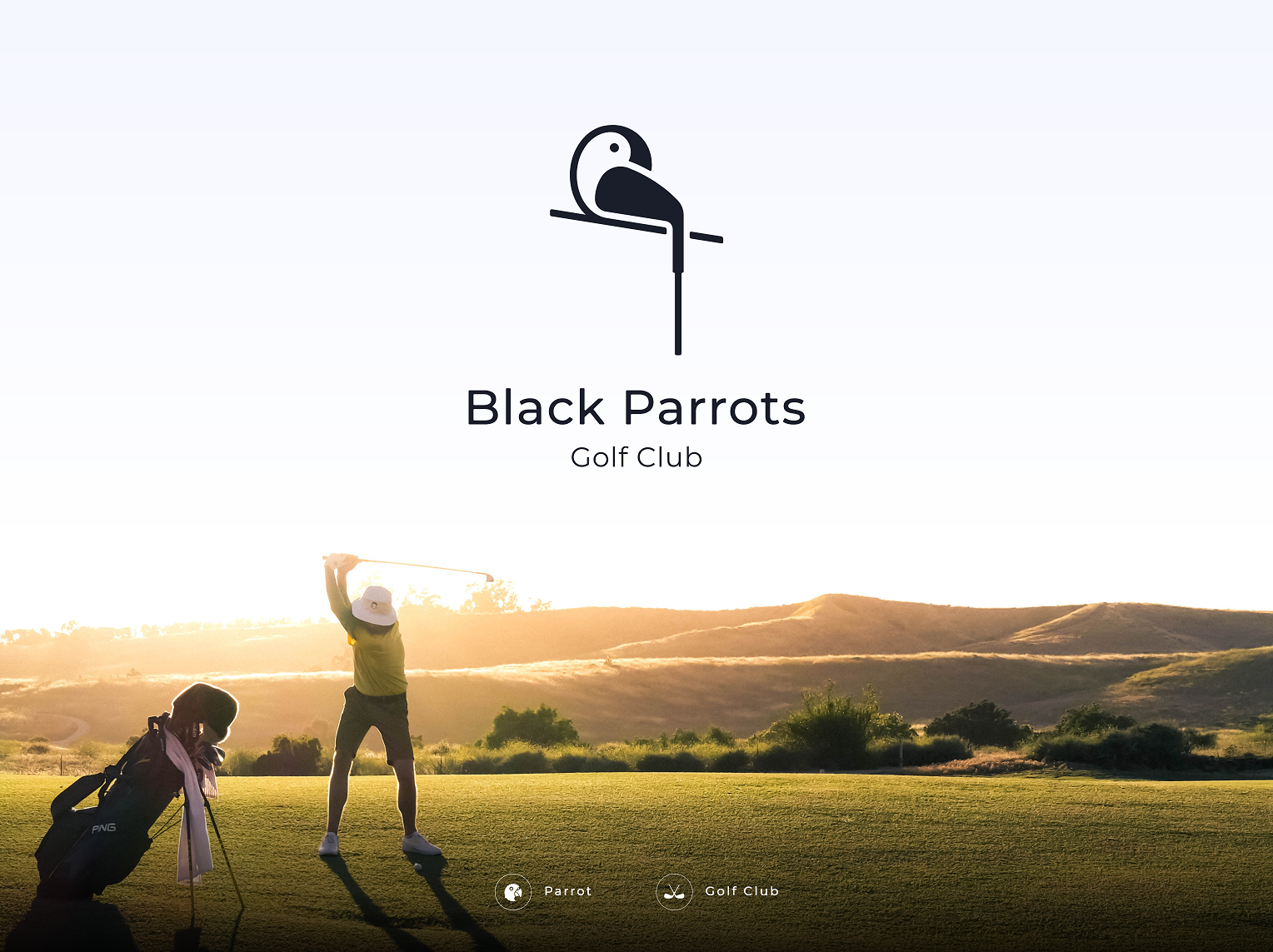 portfolio-preview