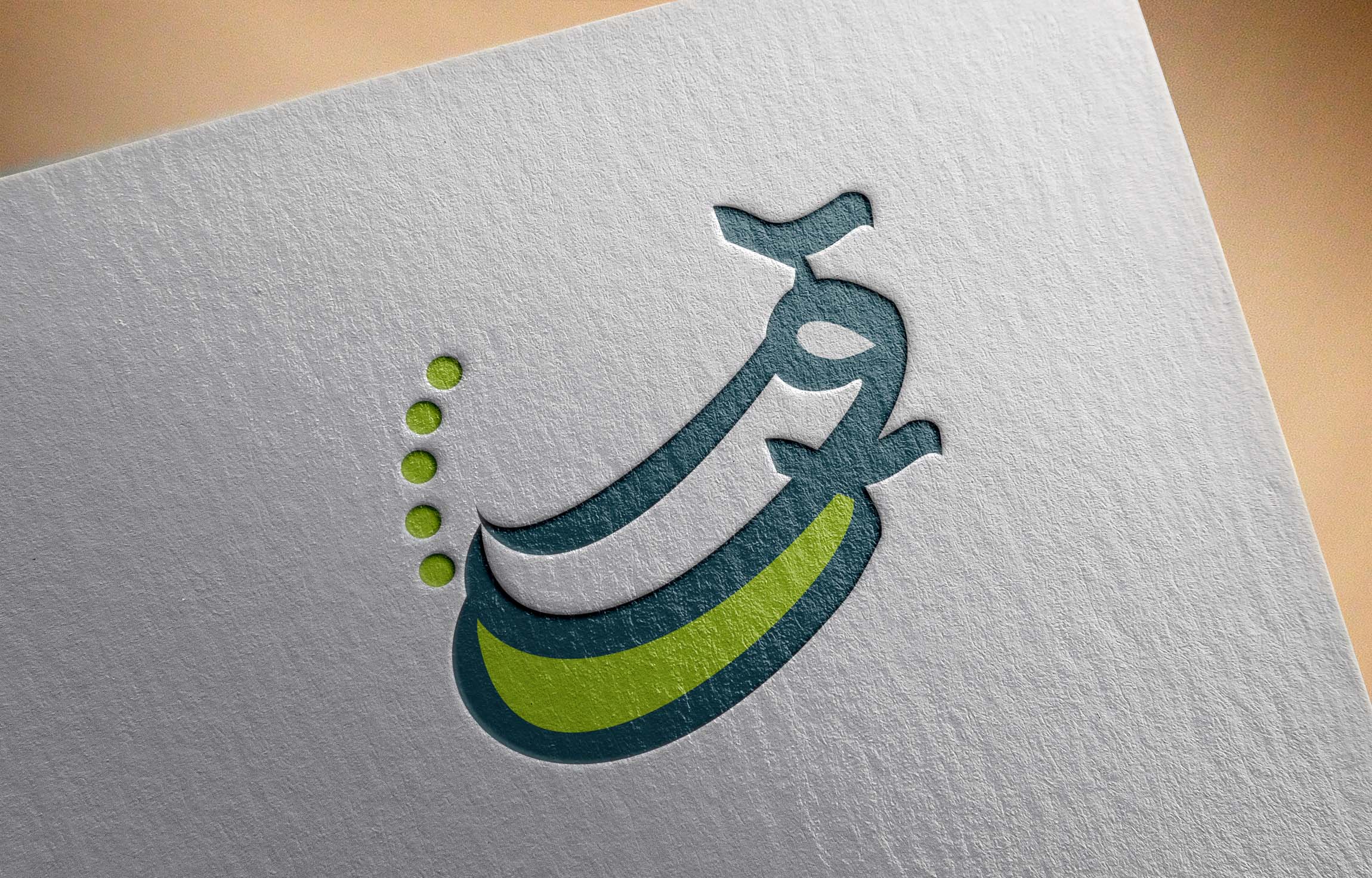 portfolio-preview
