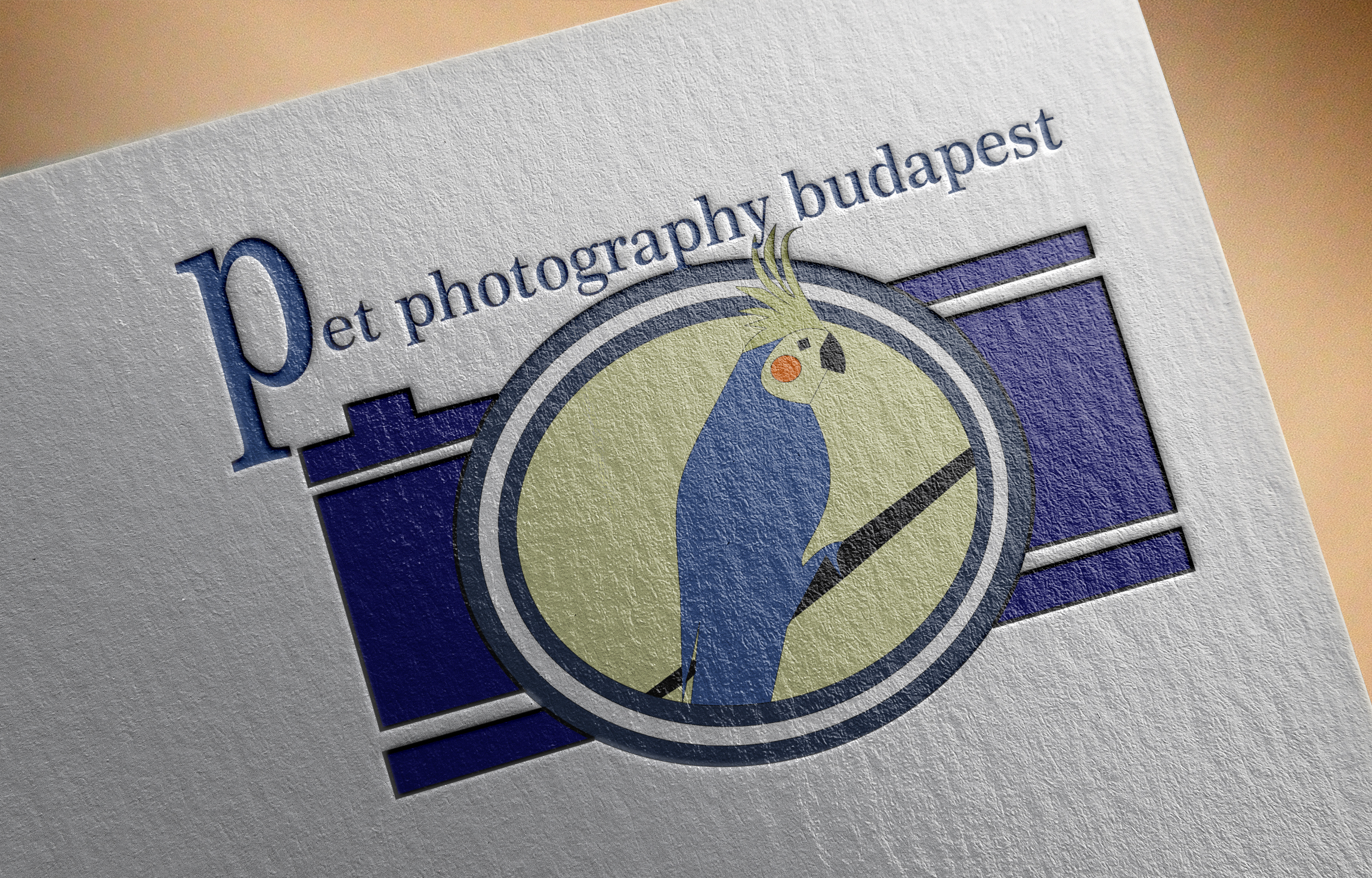 portfolio-preview