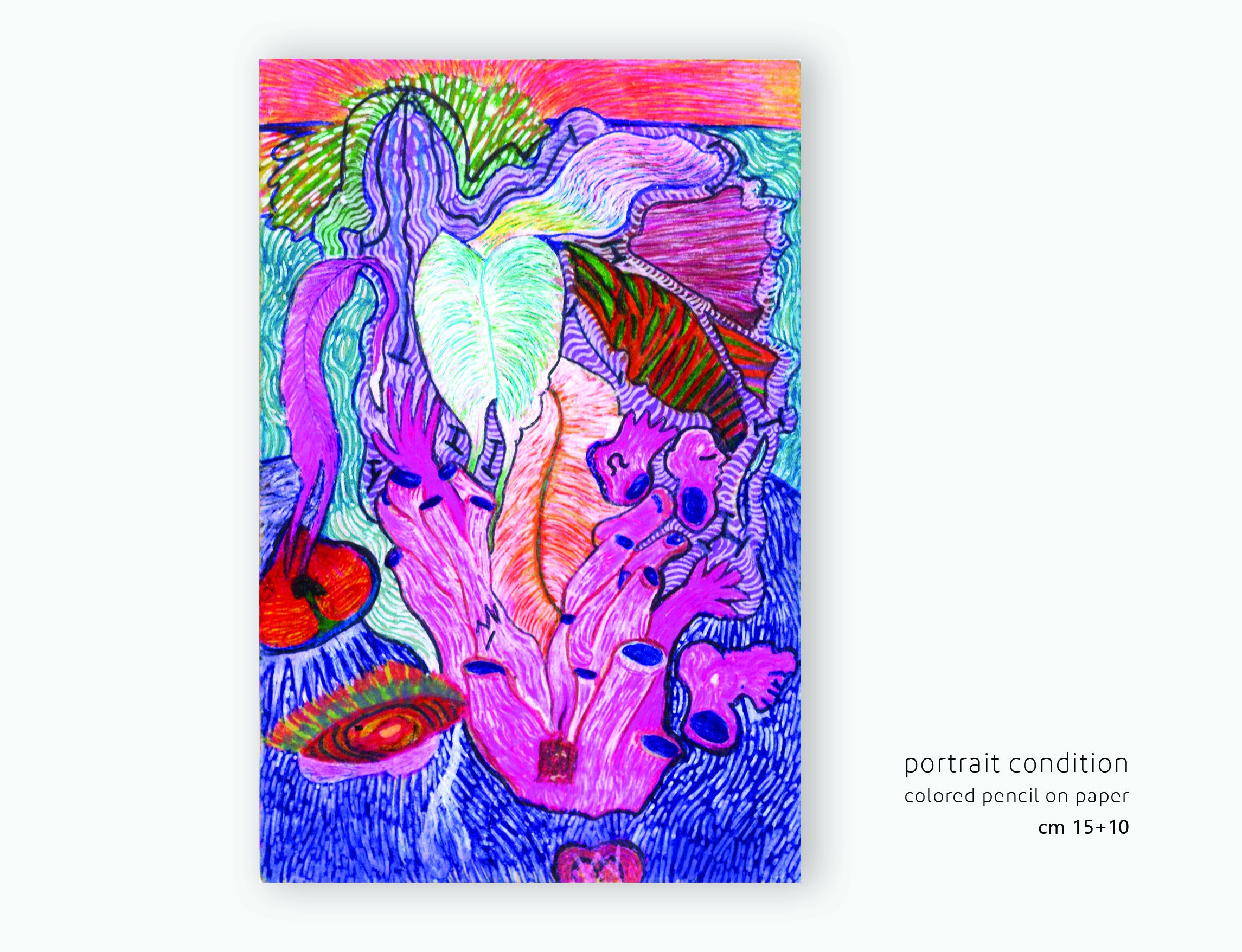 portfolio-preview