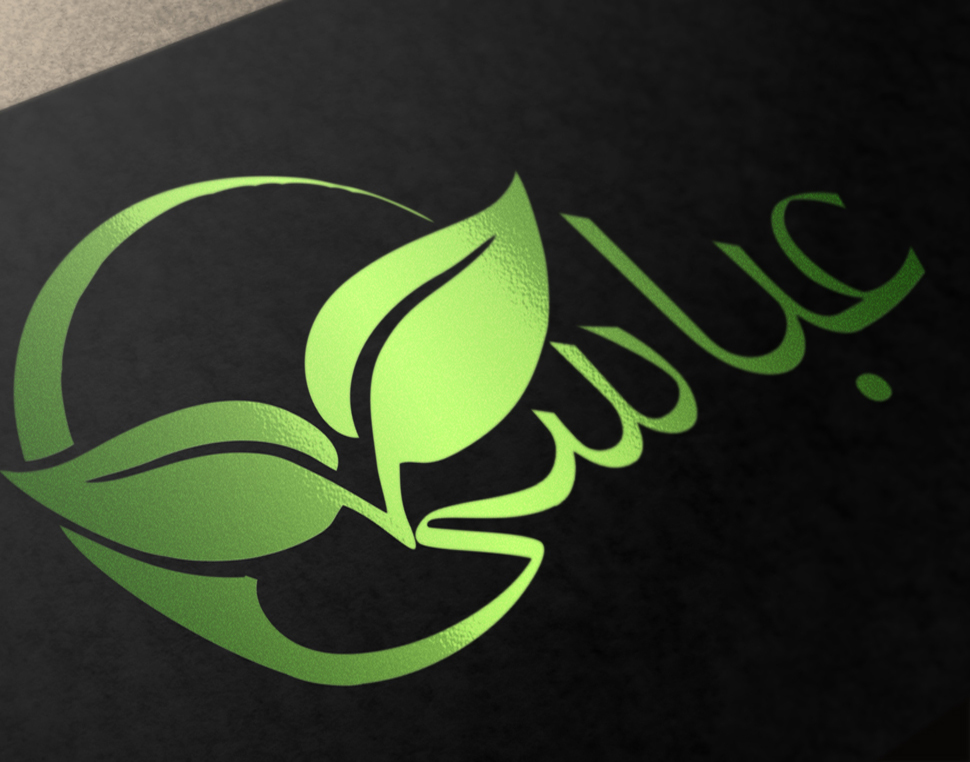 portfolio-preview