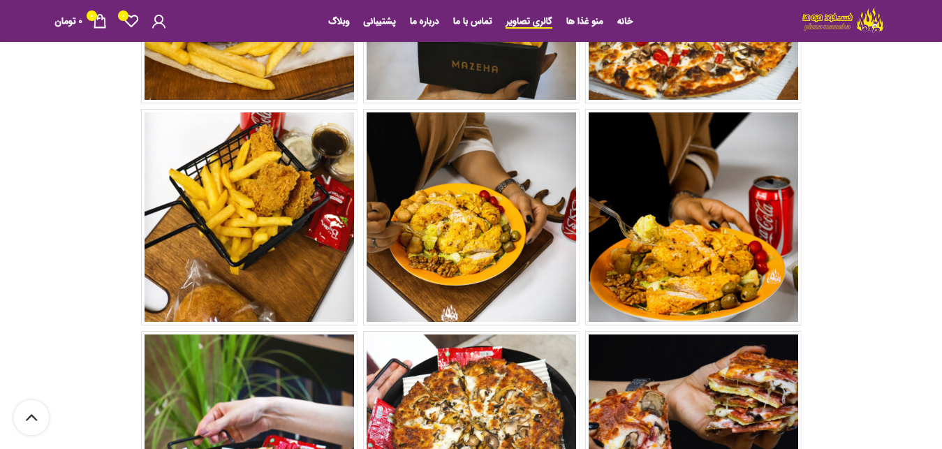 portfolio-preview
