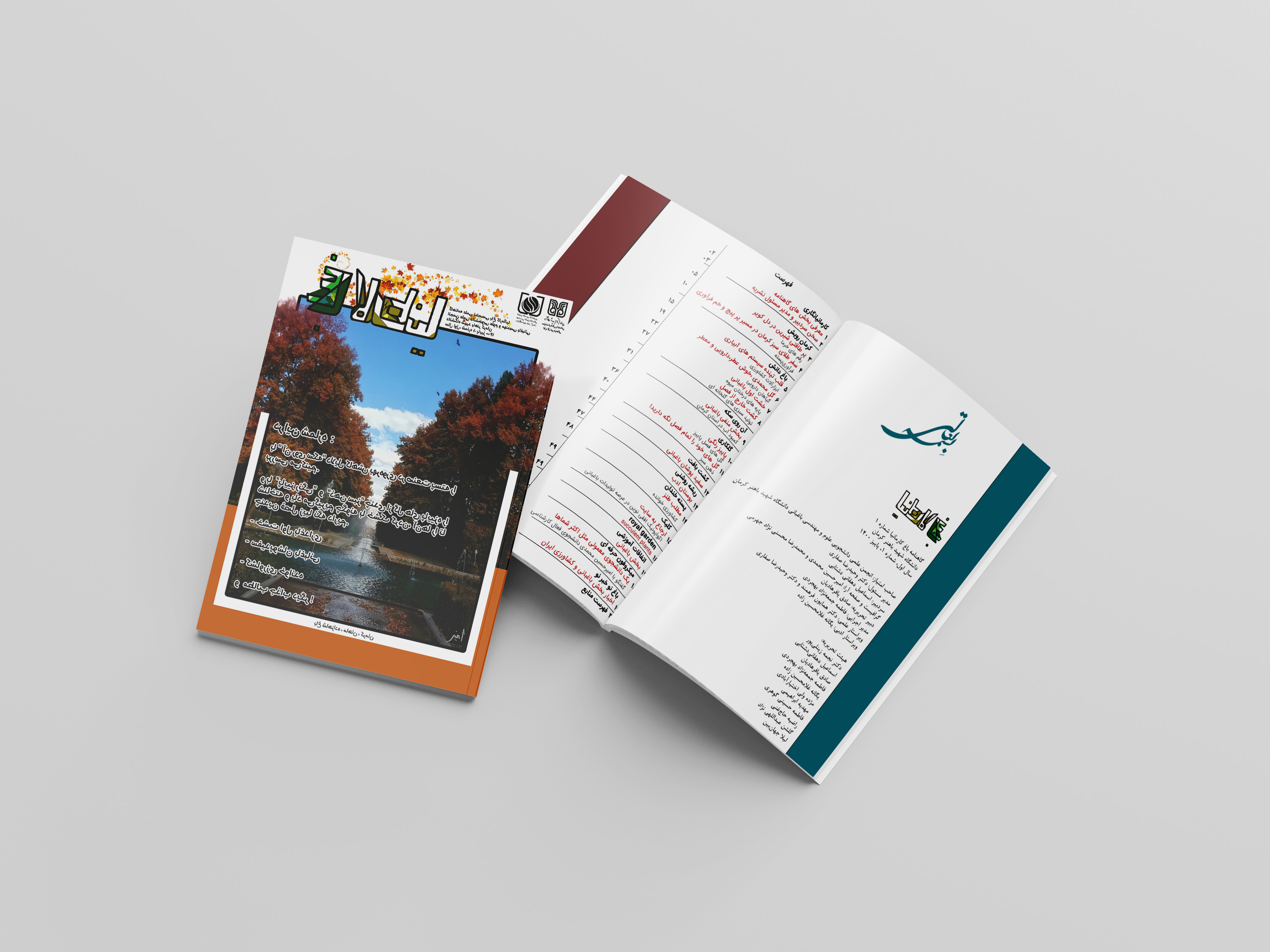 portfolio-preview