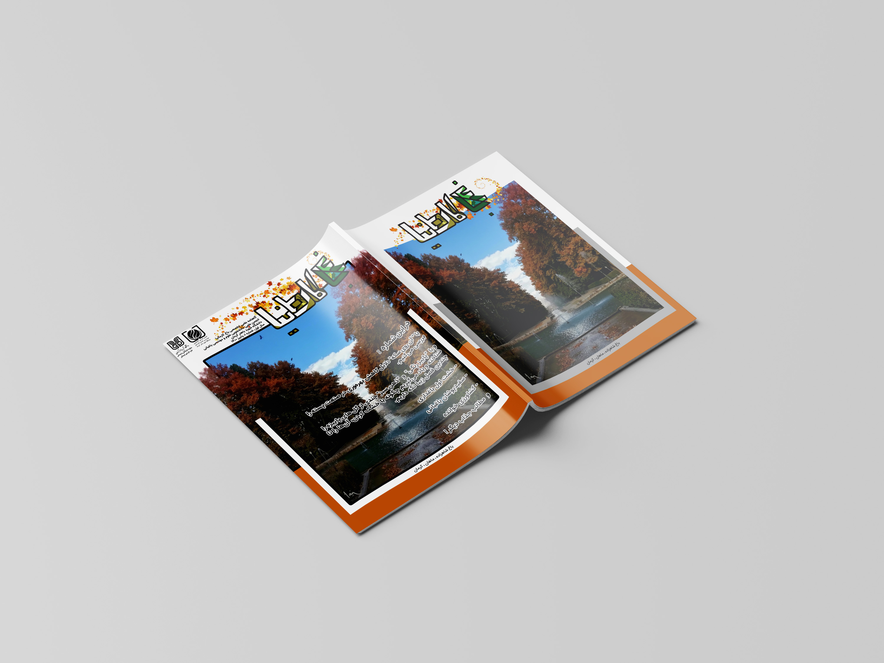 portfolio-preview