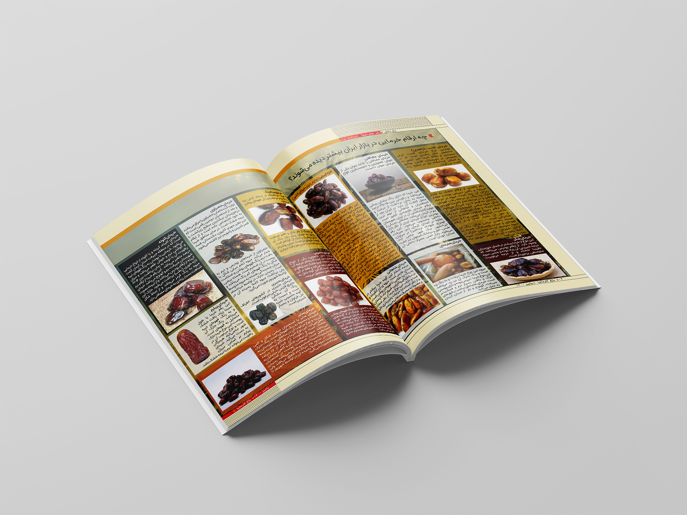 portfolio-preview