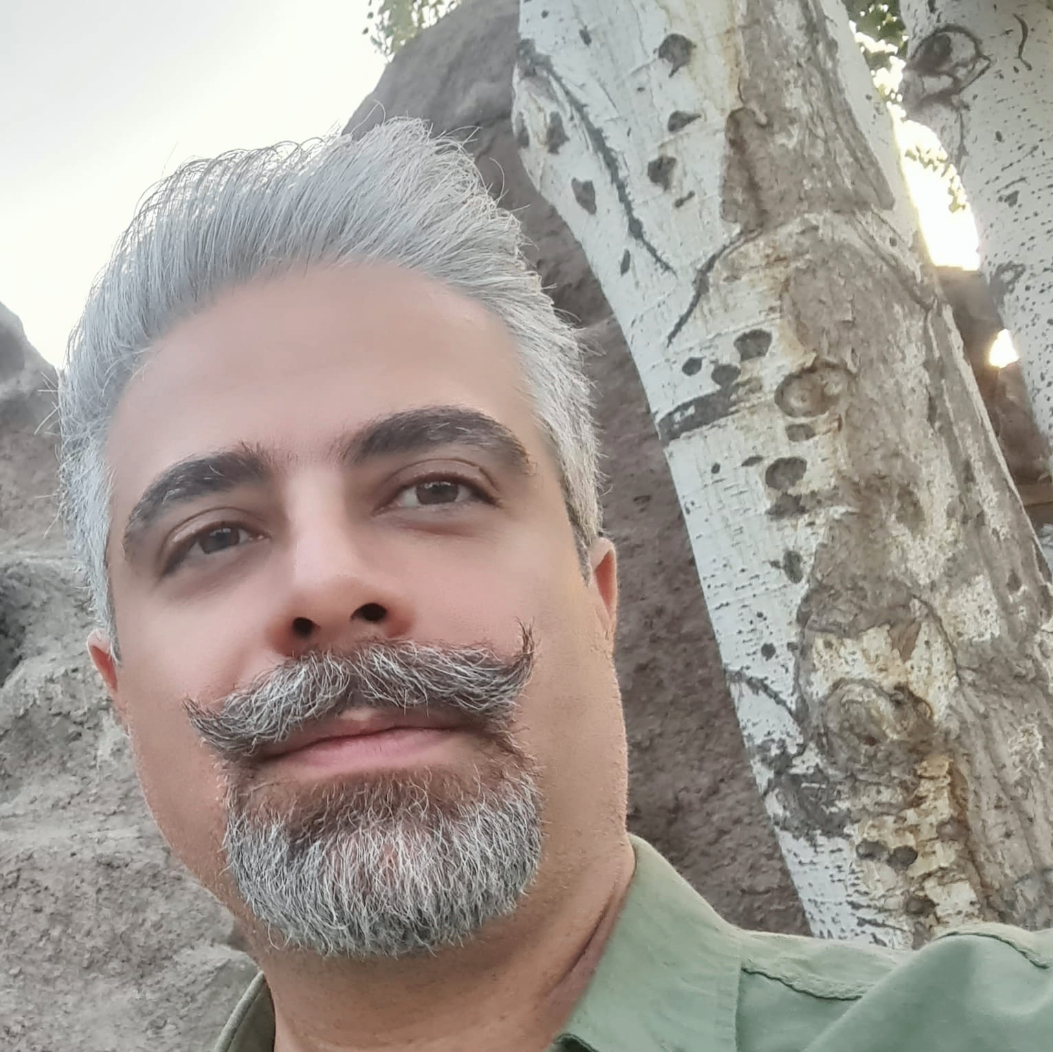 ImanBahrami2070