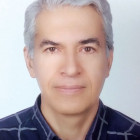 farzin2961348