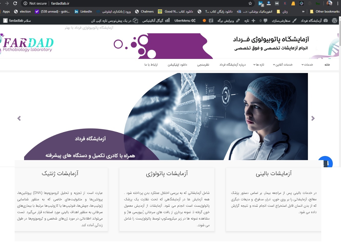 portfolio-preview